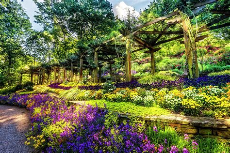  「Gardening with Nature」：自然の筆使いで描く、豊穣なる庭の肖像