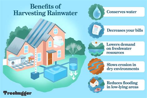  「Water Harvesting: A Practical Guide」：地球の恵みと未来への希望を描き出すブラジルの農業傑作